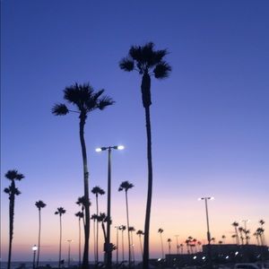 Meet your Posher, Ruth